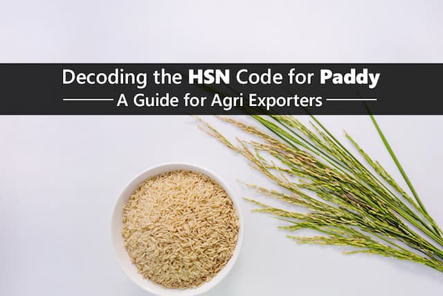 Paddy HSN Code: GST Rate &#038; Export Classification Guide